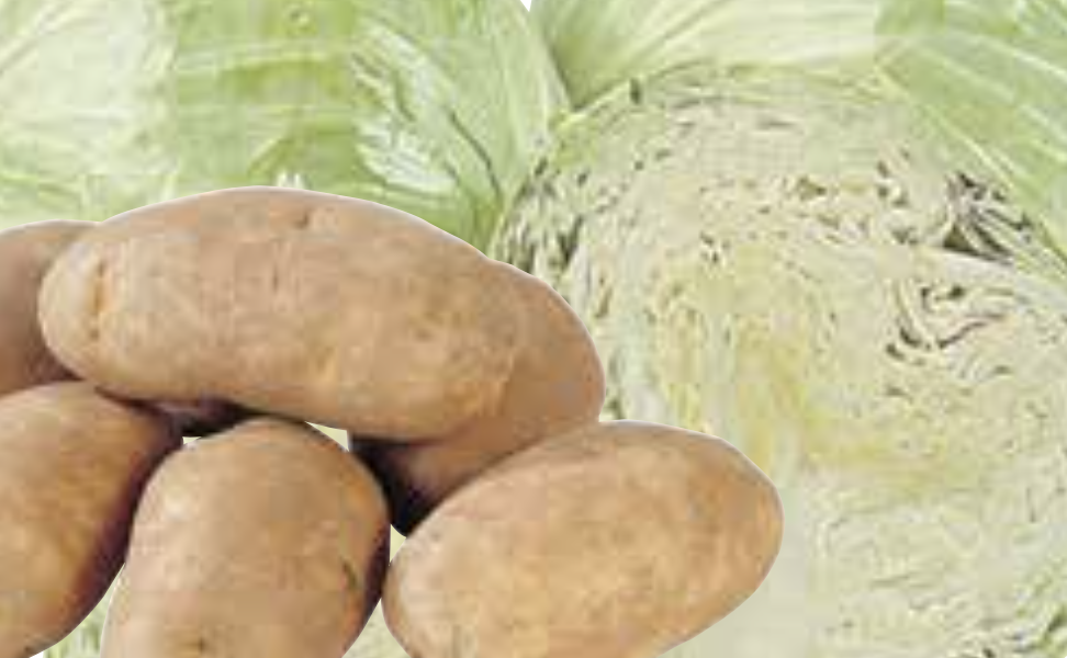 Baking Potatoes Or Green Cabbage